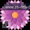 6T体育 logo