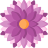 6T体育 logo