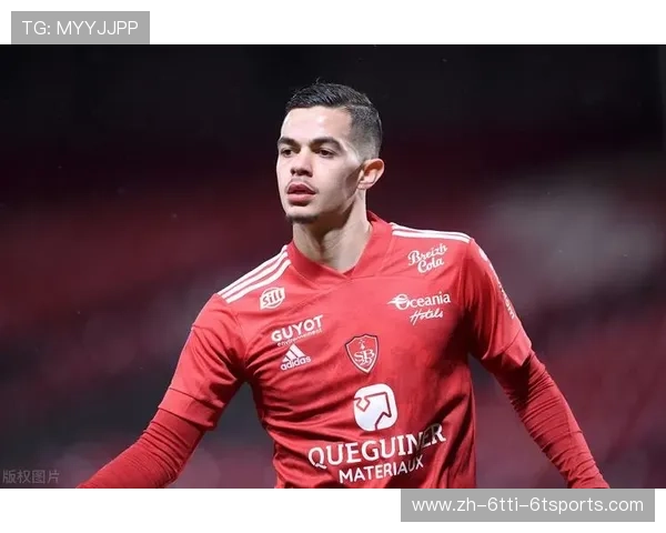 法甲新规则实施情况及效果评估